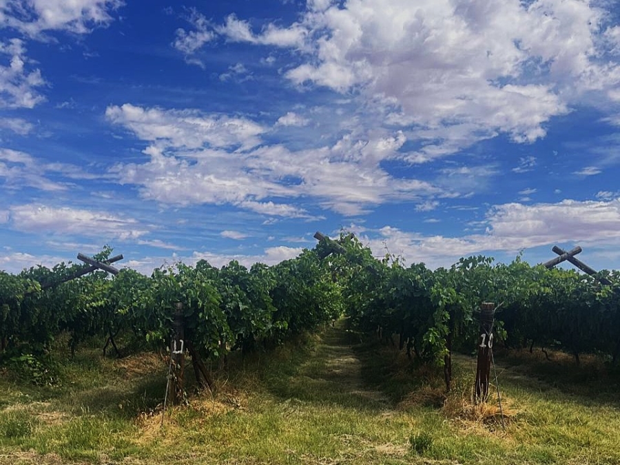 Commercial Property for Sale in Groblershoop Northern Cape